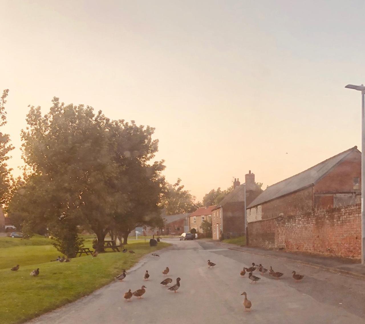 Village Barn Conversion Near York Esterno foto